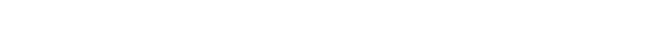 Tranporte - Van